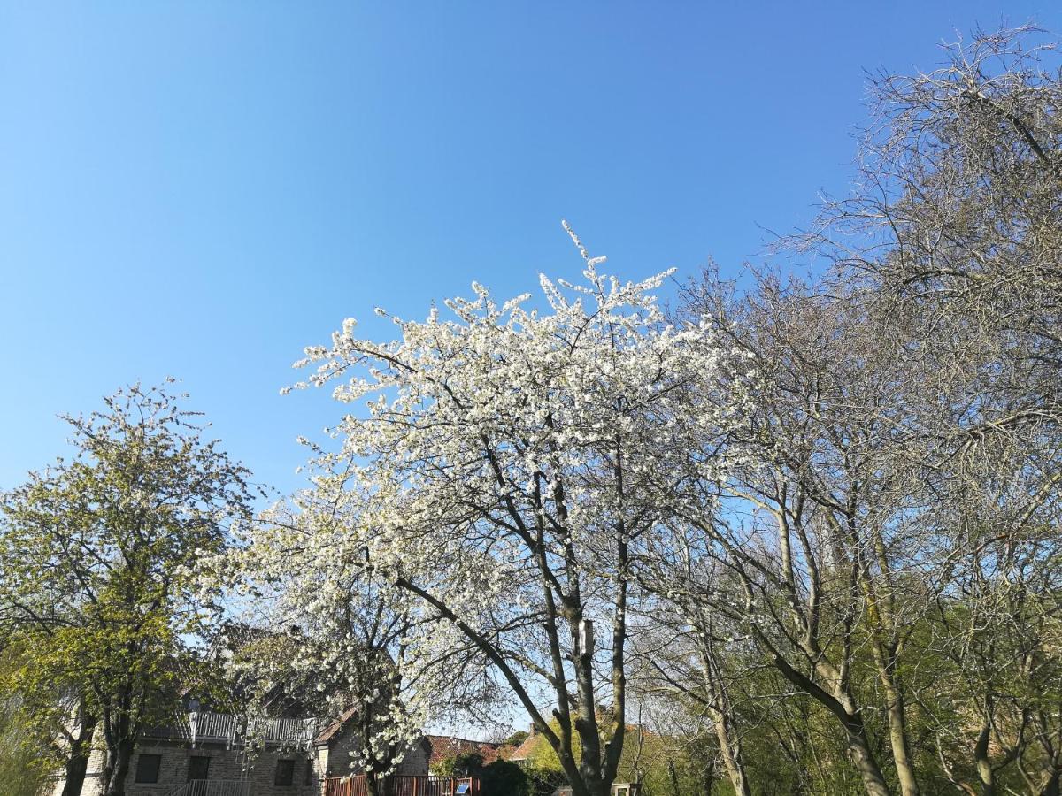 B&B De Dubbelmolen Tongeren Exteriér fotografie